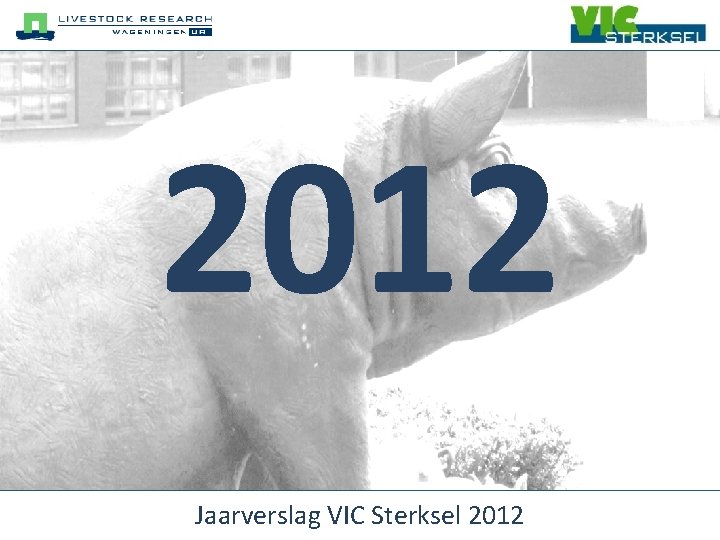 2012 Jaarverslag VIC Sterksel 2012 