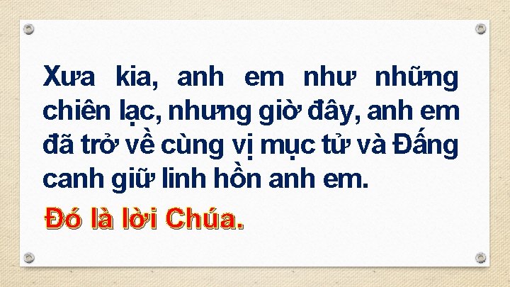 Xưa kia, anh em như những chiên lạc, nhưng giờ đây, anh em đã