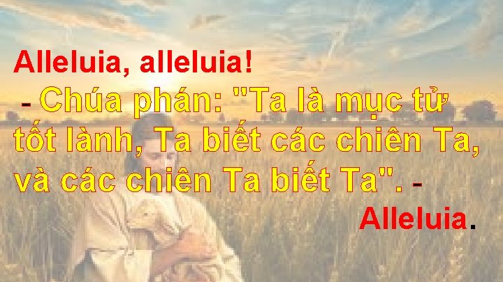 Alleluia, alleluia! - Chúa phán: "Ta là mục tử tốt lành, Ta biết các