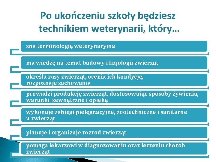 Po ukończeniu szkoły będziesz technikiem weterynarii, który… zna terminologię weterynaryjną ma wiedzę na temat