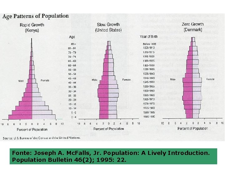 Fonte: Joseph A. Mc. Falls, Jr. Population: A Lively Introduction. Population Bulletin 46(2); 1995: