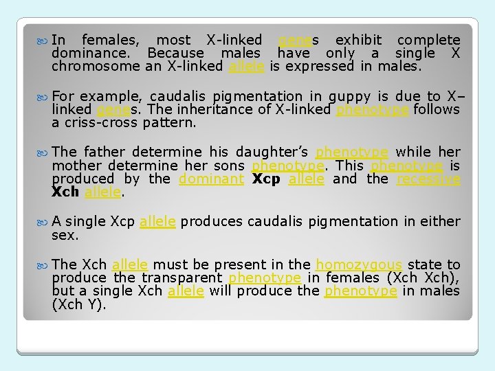  In females, most X-linked genes exhibit complete dominance. Because males have only a