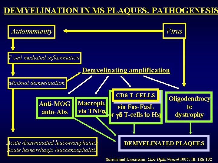 DEMYELINATION IN MS PLAQUES: PATHOGENESIS Autoimmunity Virus T-cell mediated inflammation Demyelinating amplification Minimal demyelination