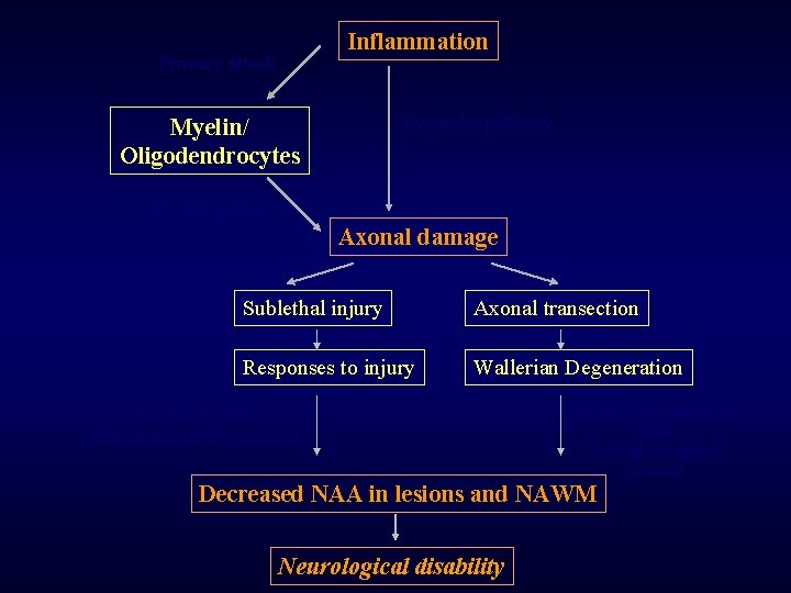Inflammation Primary attack Bystander pathway Myelin/ Oligodendrocytes Trophic pathway Axonal damage Sublethal injury Axonal