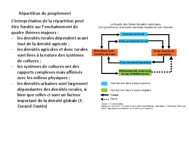 Répartition du peuplement L’interprétation de la répartition peut être fondée sur l’enchaînement de quatre