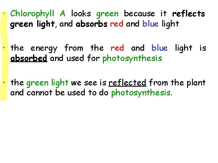  • Chlorophyll A looks green because it reflects green light, and absorbs red