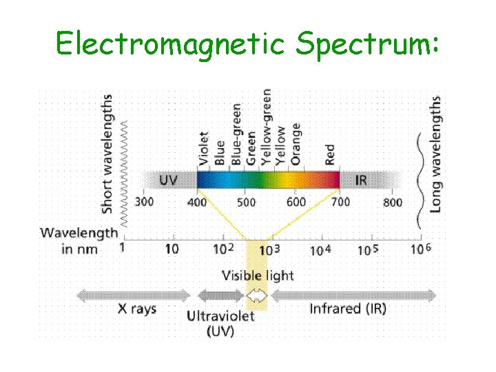 Electromagnetic Spectrum: 