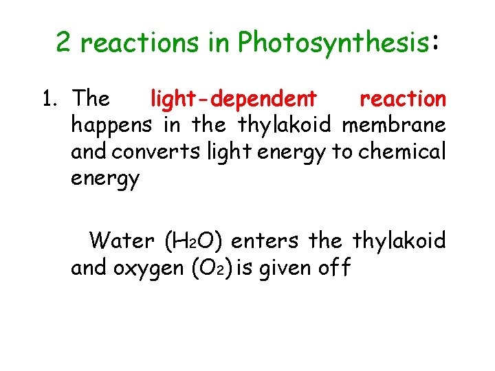 2 reactions in Photosynthesis: 1. The light-dependent reaction happens in the thylakoid membrane and