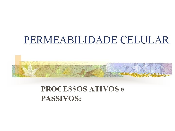 PERMEABILIDADE CELULAR PROCESSOS ATIVOS e PASSIVOS: 