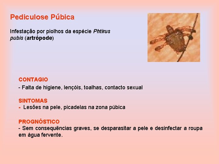 Pediculose Púbica Infestação por piolhos da espécie Phtirus pubis (artrópode) CONTAGIO - Falta de