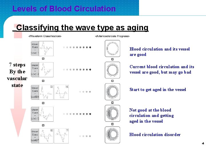 Levels of Blood Circulation Classifying the wave type as aging Blood circulation and its