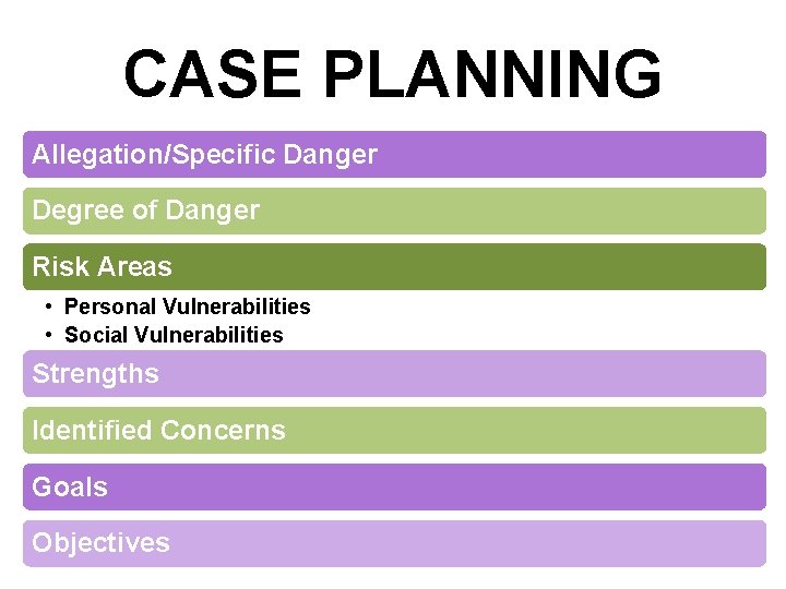 CASE PLANNING Allegation/Specific Danger Degree of Danger Risk Areas • Personal Vulnerabilities • Social