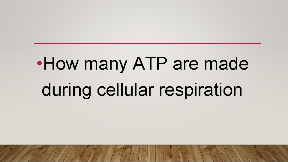  • How many ATP are made during cellular respiration 