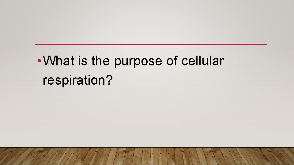  • What is the purpose of cellular respiration? 