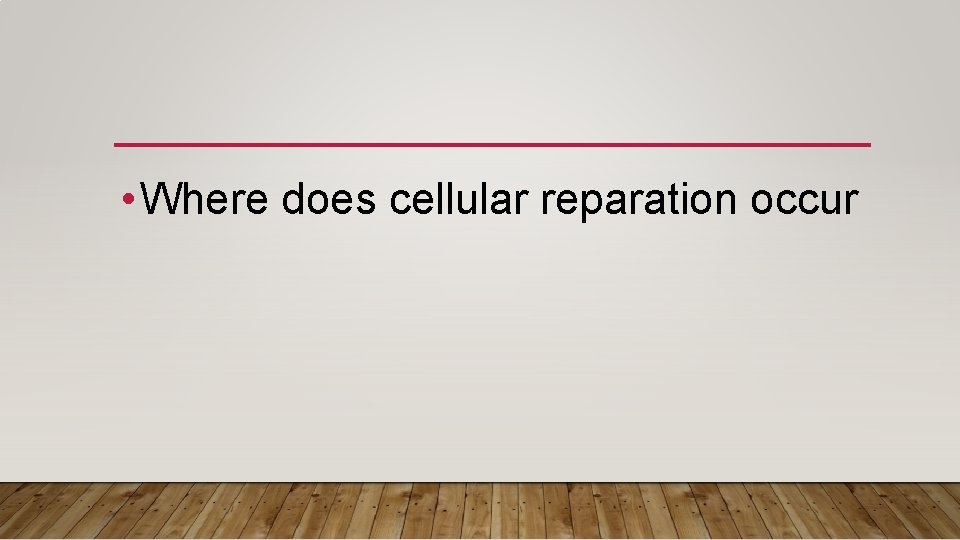  • Where does cellular reparation occur 