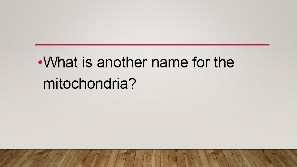  • What is another name for the mitochondria? 