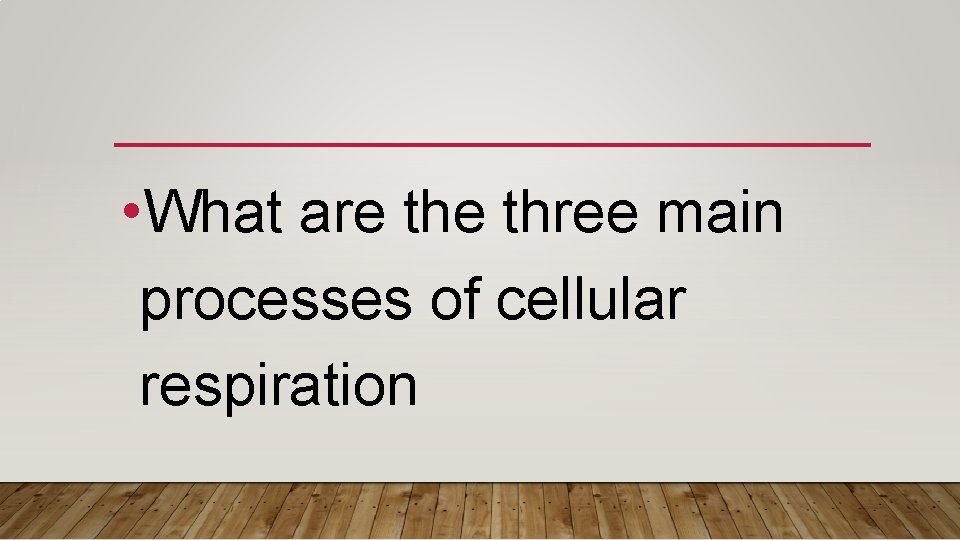 • What are three main processes of cellular respiration 