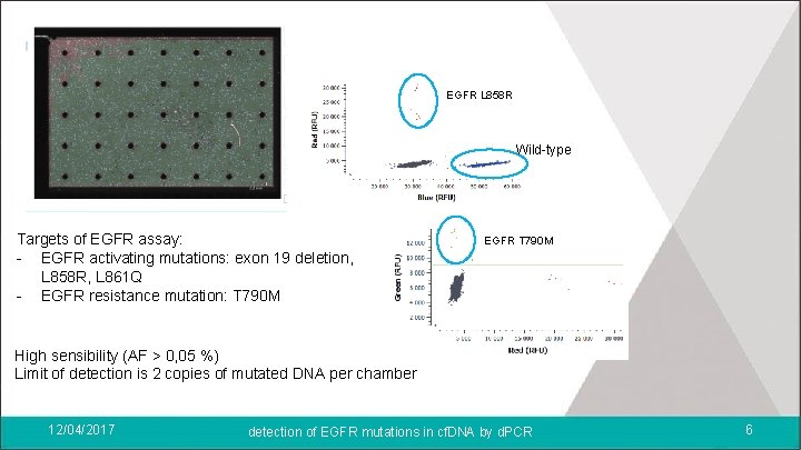 EGFR L 858 R Wild-type Targets of EGFR assay: - EGFR activating mutations: exon