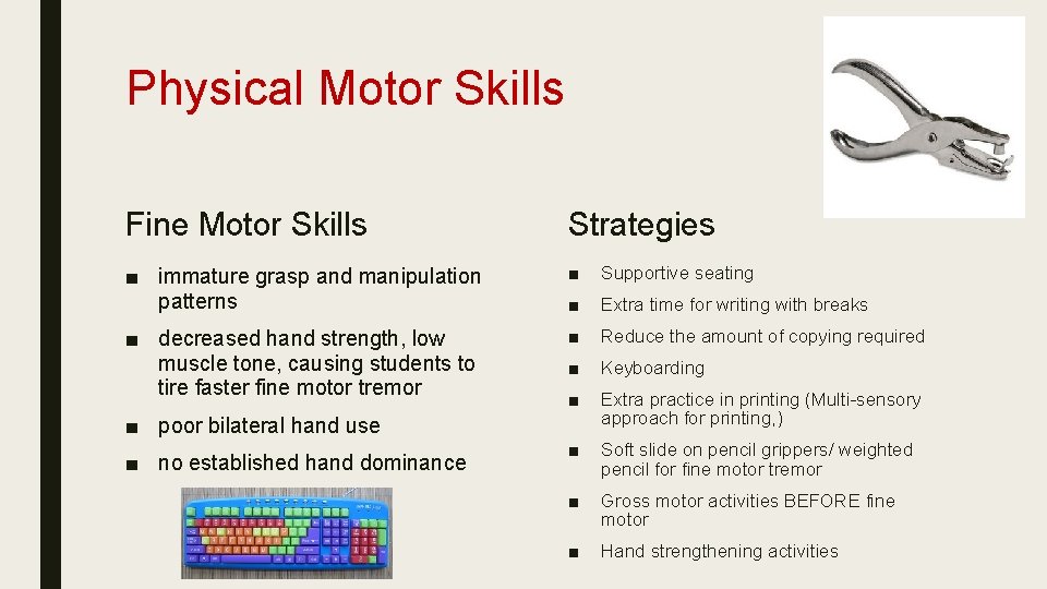 Physical Motor Skills Fine Motor Skills Strategies ■ immature grasp and manipulation patterns ■