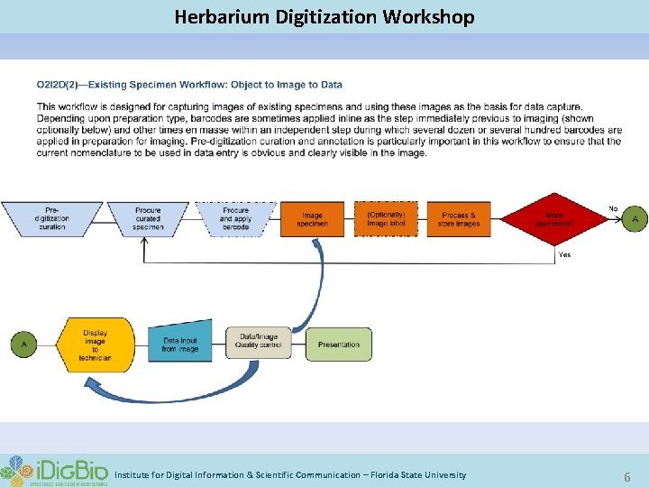 Optimizing Digitization Gil Nelson on behalf of the