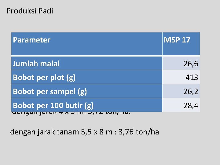 Produksi Padi Parameter MSP 17 Jumlah malai 26, 6 Bobot per plot (g) 413