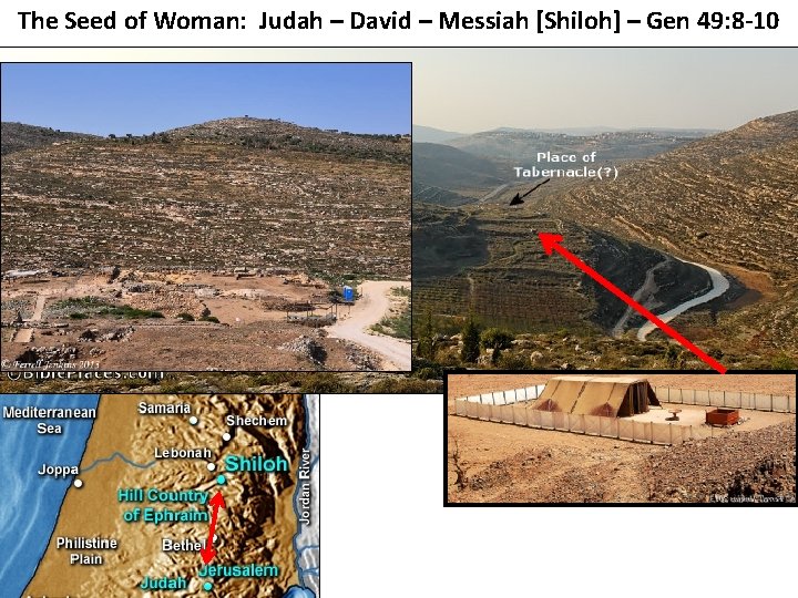 The Seed of Woman: Judah – David – Messiah [Shiloh] – Gen 49: 8