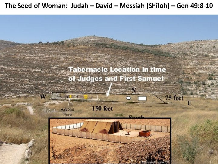 The Seed of Woman: Judah – David – Messiah [Shiloh] – Gen 49: 8