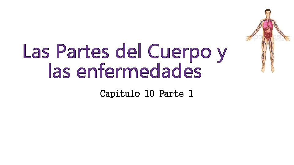 Las Partes del Cuerpo y las enfermedades Capítulo 10 Parte 1 