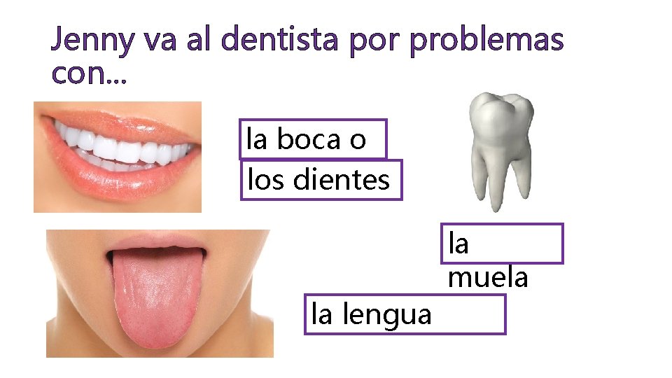 Jenny va al dentista por problemas con. . . la boca o los dientes