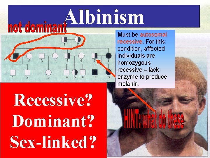 Albinism Must be autosomal recessive. For this condition, affected individuals are homozygous recessive –