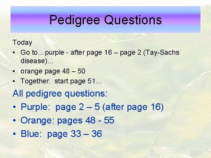 Pedigree Questions Today • Go to…purple - after page 16 – page 2 (Tay-Sachs