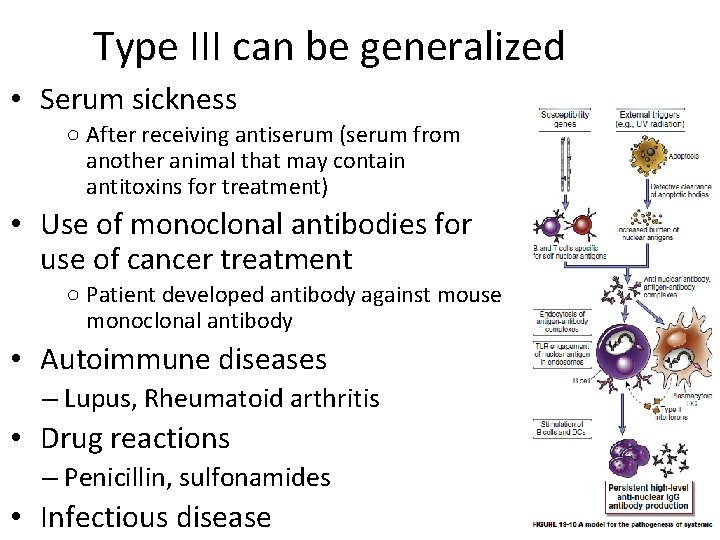 Type III can be generalized • Serum sickness ○ After receiving antiserum (serum from