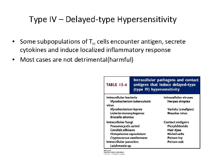 Type IV – Delayed-type Hypersensitivity • Some subpopulations of TH cells encounter antigen, secrete
