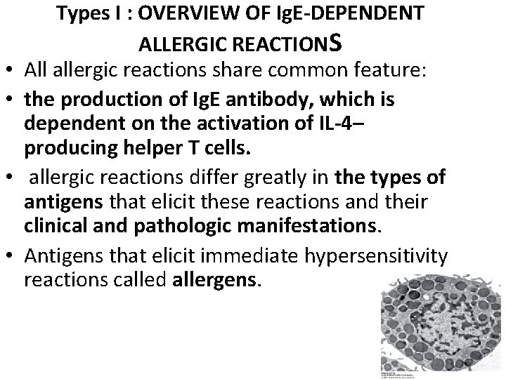  • • Types I : OVERVIEW OF Ig. E-DEPENDENT ALLERGIC REACTIONS All allergic