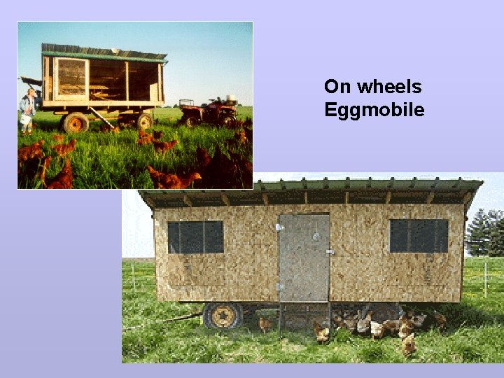 On wheels Eggmobile 