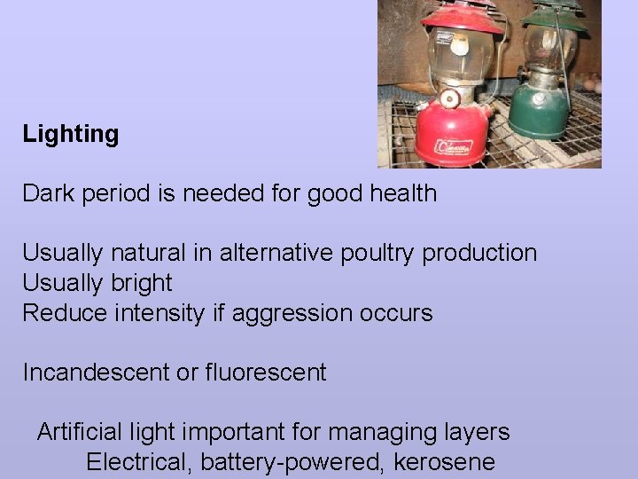 Lighting Dark period is needed for good health Usually natural in alternative poultry production