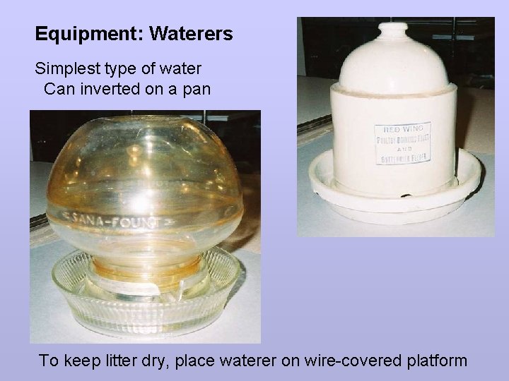 Equipment: Waterers Simplest type of water Can inverted on a pan To keep litter Equipment: Waterers Simplest type of water Can inverted on a pan To keep litter