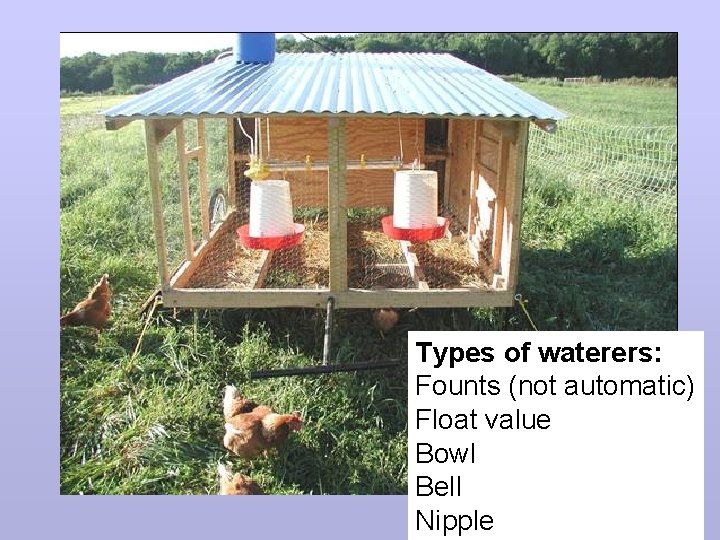 Types of waterers: Founts (not automatic) Float value Bowl Bell Nipple 