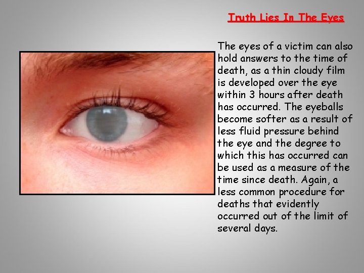 Truth Lies In The Eyes The eyes of a victim can also hold answers