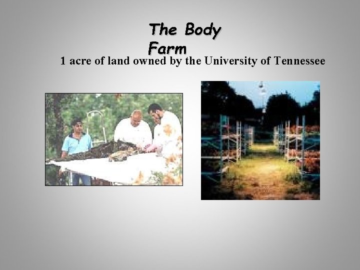 The Body Farm 1 acre of land owned by the University of Tennessee 