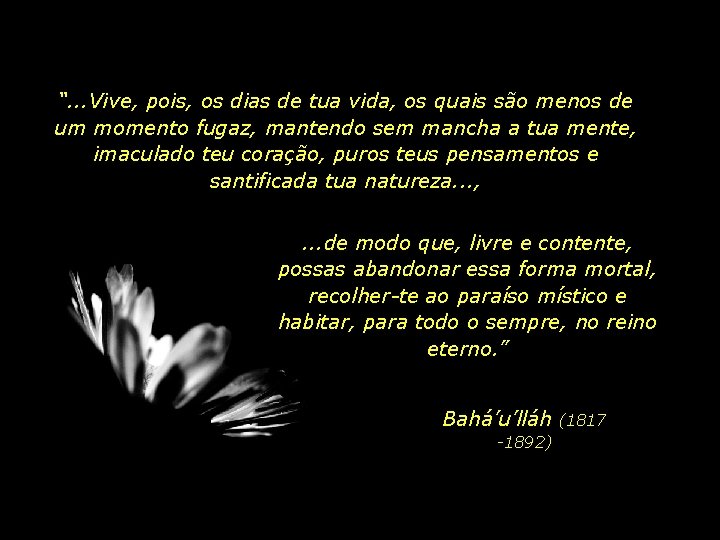 “. . . Vive, pois, os dias de tua vida, os quais são menos