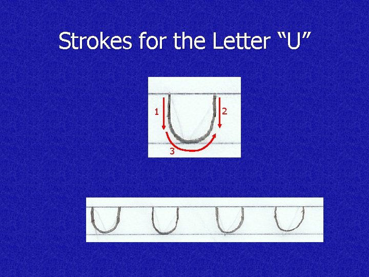 Strokes for the Letter “U” 2 1 3 