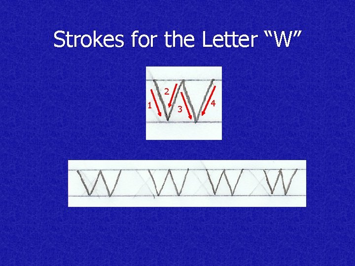 Strokes for the Letter “W” 2 1 3 4 