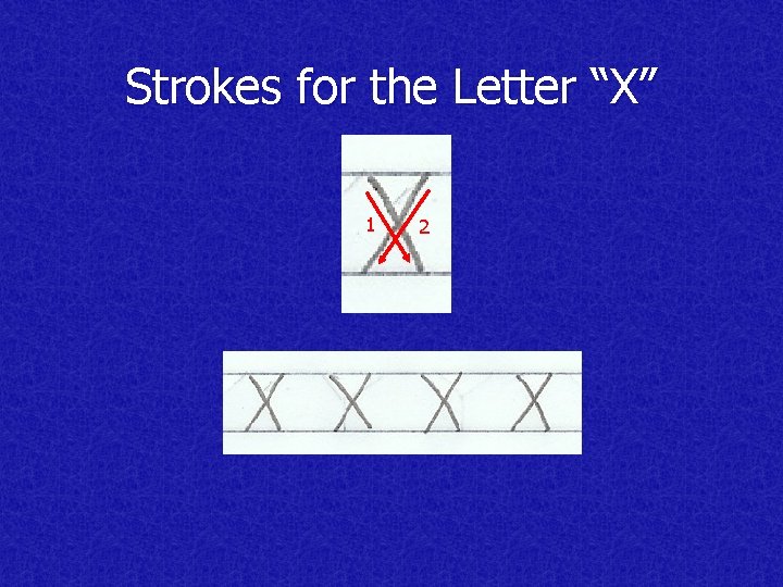 Strokes for the Letter “X” 1 2 