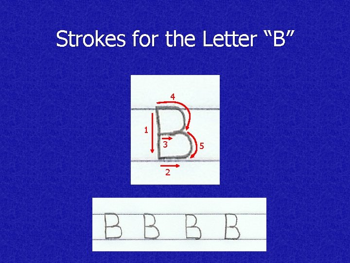 Strokes for the Letter “B” 4 1 3 2 5 
