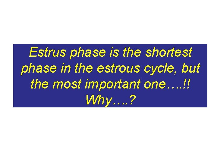 Estrus phase is the shortest phase in the estrous cycle, but the most important