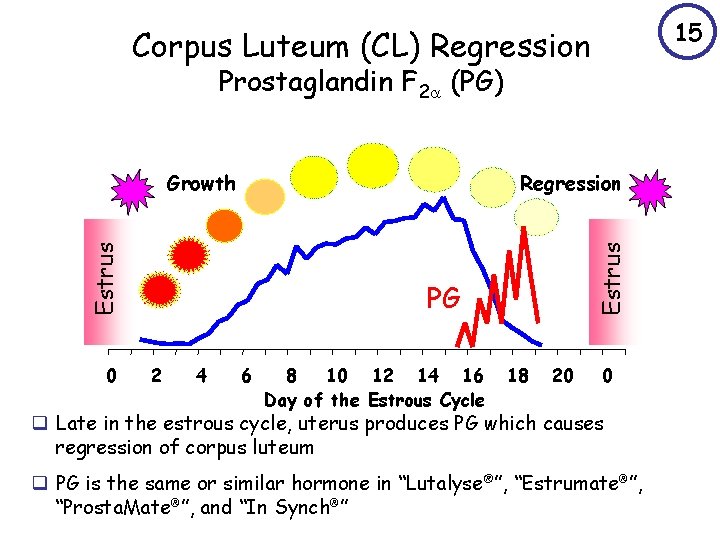 15 Corpus Luteum (CL) Regression Prostaglandin F 2 (PG) 0 Estrus Regression Estrus Growth
