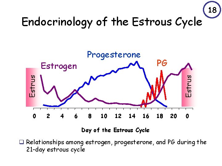 Endocrinology of the Estrous Cycle PG 0 Estrus Estrogen Progesterone 2 4 6 8