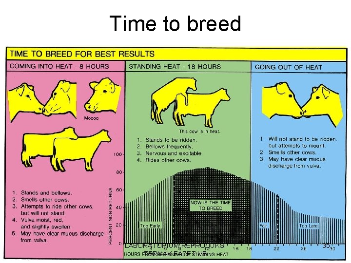 Time to breed LABORATORIUM REPRODUKSI TERNAK FAPET UB 35 