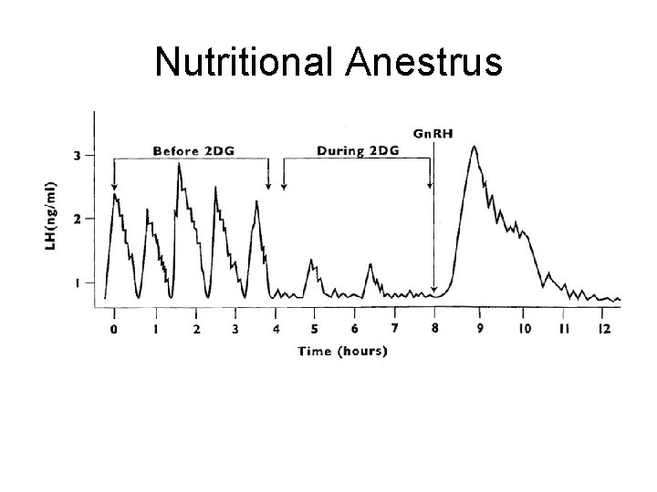 Nutritional Anestrus 